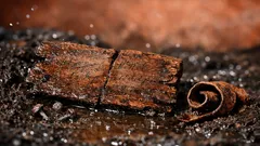 Pozzi romani, tesori nel fango: tavolette con inchiostro e scarpe da bambino riemerse da uno scavo